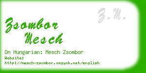 zsombor mesch business card